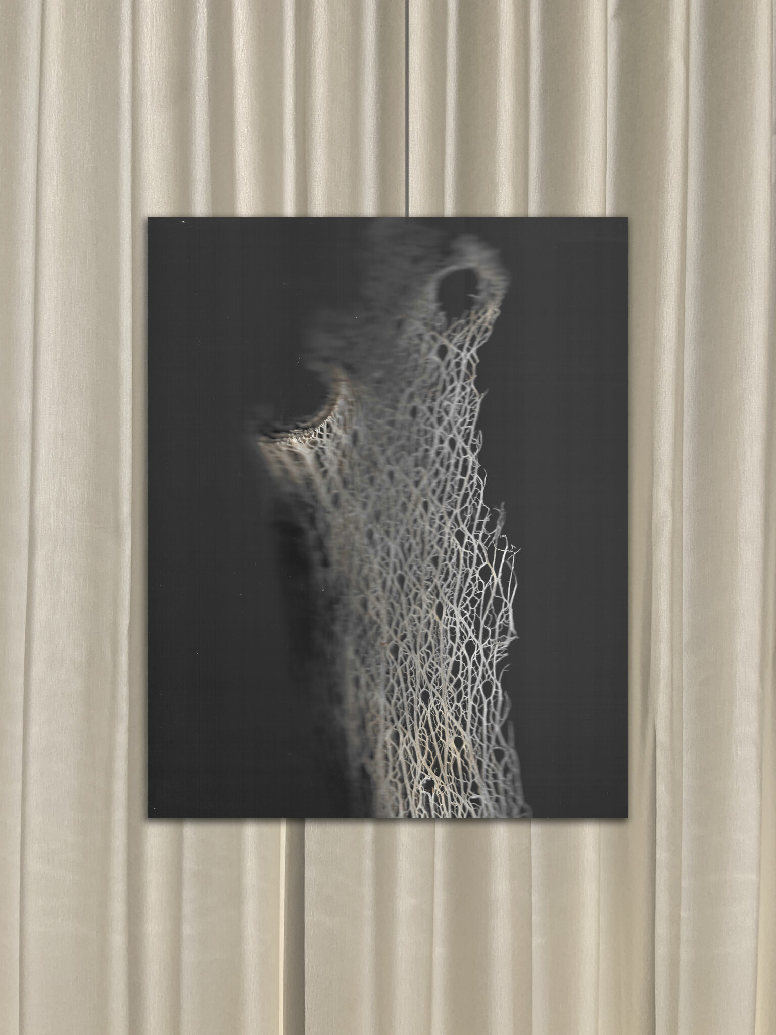 #36A